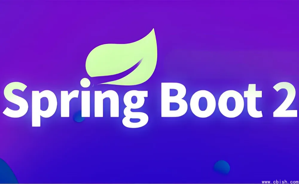 Spring Boot 2 核心技术实战与响应式编程源码解析