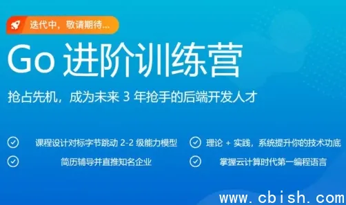 Go进阶训练营:对标大厂实战项目,带源码课件完整版