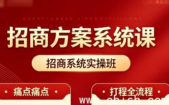 招商系统实操班:从引流到成交的全链路实战教程