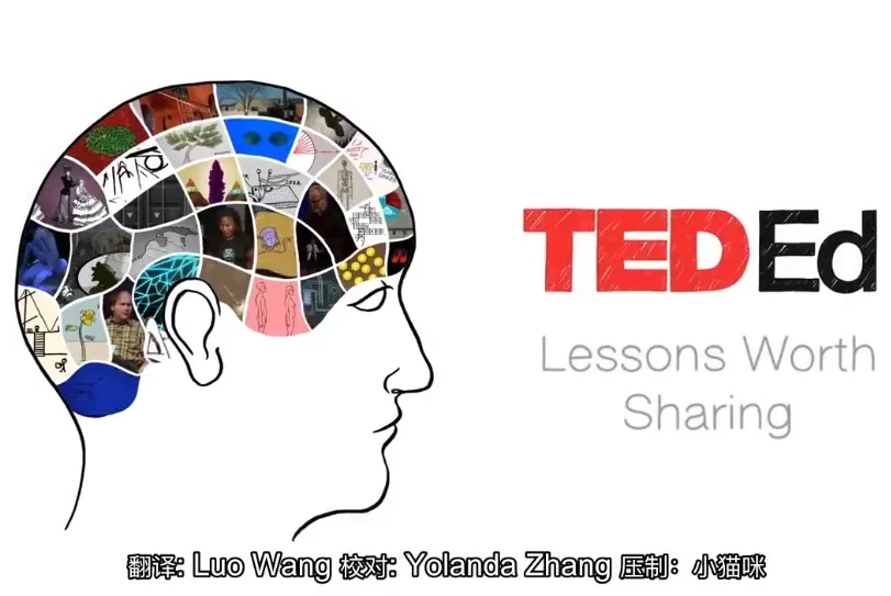 TED-Ed科普动画《你应该知道的知识》：全球热播的日常科学启蒙系列