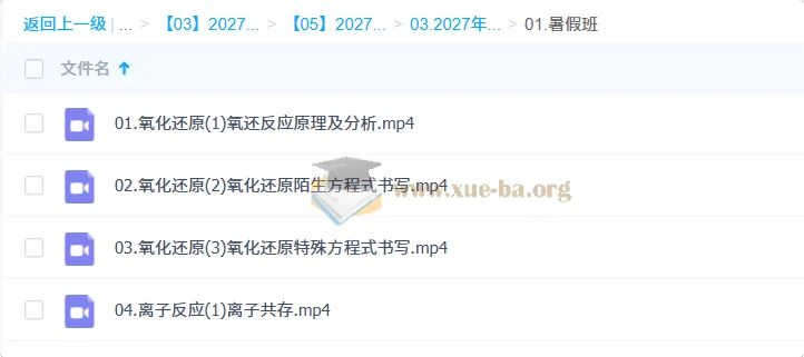 2027高三化学一轮暑假班 张苗苗 氧化还原与离子反应精讲