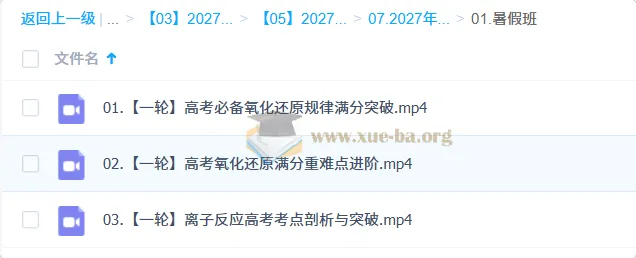 2027高三化学一轮复习暑假班 郑瑞精讲氧化还原与离子反应