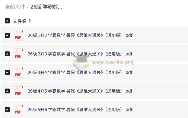 2026版学霸数学暑假思维大通关 1-6年级通用版PDF