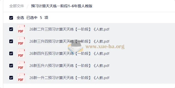 预习计算天天练一阶段1-6年级人教版 暑假数学口算竖式脱式专项训练