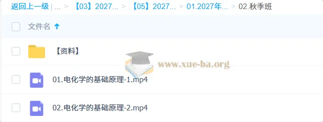 2027高三化学一轮复习 李政秋季班 电化学专题精讲