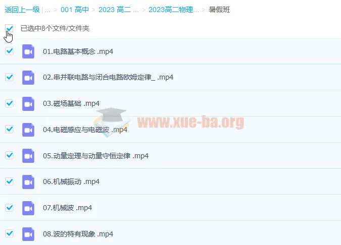 2023高二物理于冲暑假班 电学与波动专题精讲