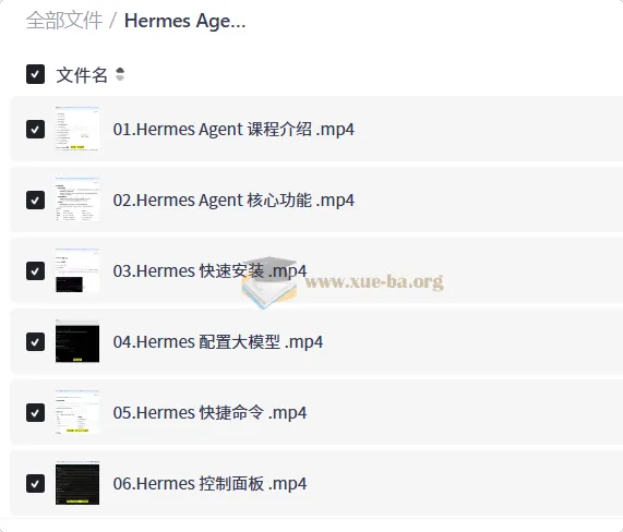 Hermes Agent智能体全维度实战课程：从入门到企业级应用
