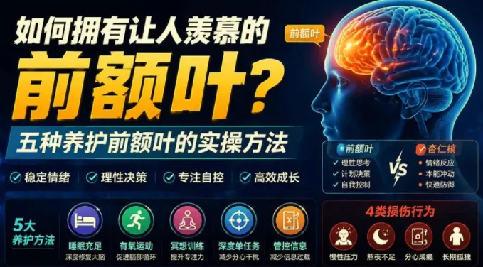 如何拥有让人羡慕的前额叶?五种养护前额叶的实操方法