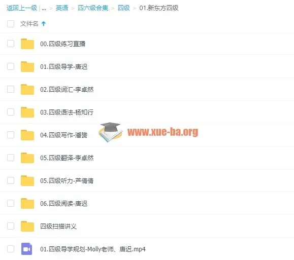 大学英语四六级考试全攻略:名师课程+真题解析+词汇语法一网打尽