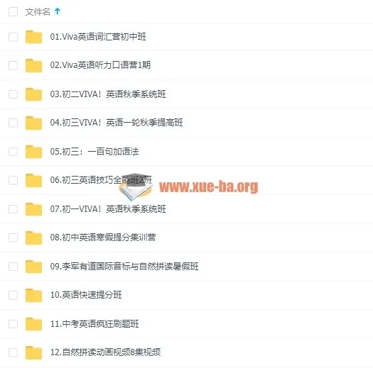 2019有道精品课李军初中英语全套视频课程 初一初二初三通用