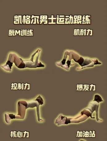 男性锻炼指南：科学健身与体能提升实用手册