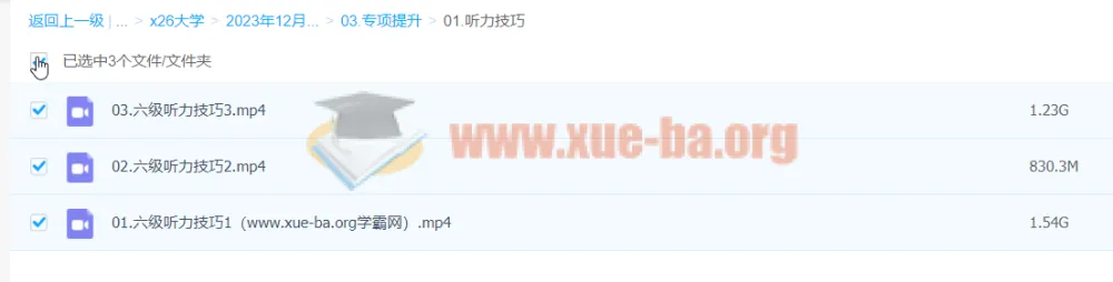 2023年12月大学英语六级全程班 刘晓燕