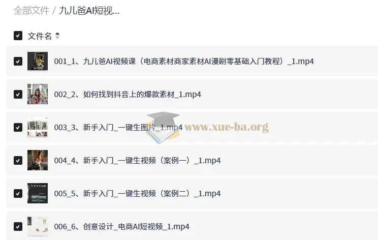 九儿爸AI短视频课程：零基础入门AI视频、电商与实体创业
