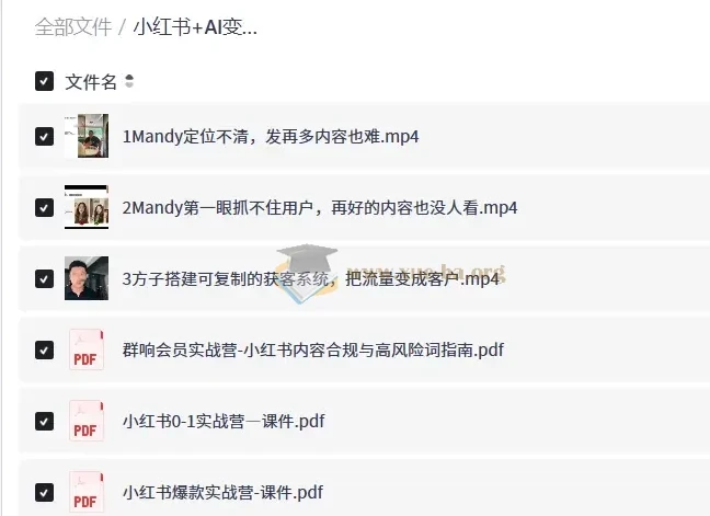 小红书+AI变现实战营：从定位到获客，系统掌握内容变现路径