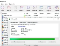 Internet Download Manager v6.42.11 中文特别版：强大下载利器