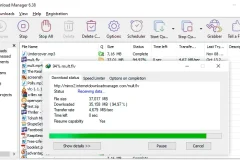 Internet Download Manager v6.42.11 中文特别版：强大下载利器