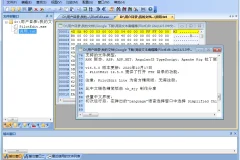 PilotEdit Lite 18.8.0 中文绿色精简版：高级文本与十六进制编辑器