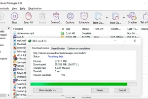 Internet Download Manager v6.42.11 中文特别版：强大下载利器