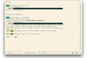 跨平台终端神器Tabby：v1.0.208绿色中文版