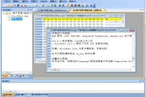 PilotEdit Lite 18.8.0 中文绿色精简版：高级文本与十六进制编辑器