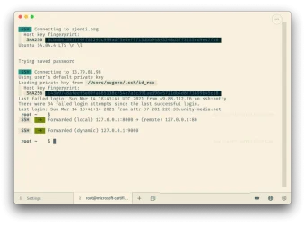 跨平台终端神器Tabby v1.0.208绿色便携版