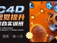 腾小渔C4D视觉提升综合实训课程