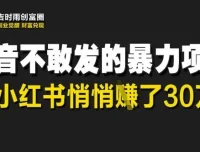 小红书上的天涯神贴暴利项目：低调掘金新风口
