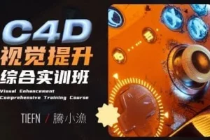 腾小渔C4D视觉提升综合实训课程