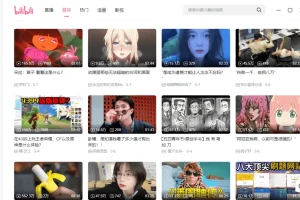 哔哩哔哩PC客户端v1.13.6.3422绿色便携版