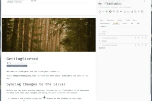 知识管理桌面应用 TidGi（太记）v0.10.2：高效助力信息整理