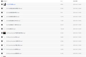 马老师Java高级工程师就业课程