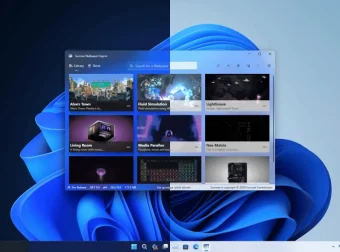 Sucrose壁纸引擎 v24.8.8.0 官方版