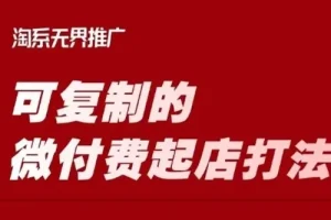 淘宝微付费起店课程：可复制的爆款打造打法