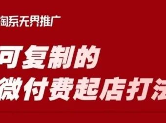 淘宝微付费起店课程：可复制的爆款打造打法