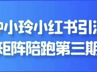 钟小玲小红书引流矩阵第三期陪跑课程