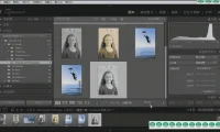 Lightroom 6基础入门全面技能培训视频教程