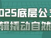 2025自然流底层公式逻辑课程