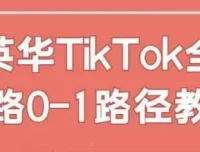英华TikTok全链路0-1教学课程