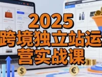2025跨境独立站运营实战课：建站、流量与转化全解析