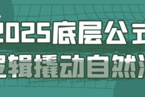 2025自然流底层公式逻辑课程