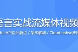 Go语言实战流媒体视频网站开发课程：源码课件俱全，助力高效学习