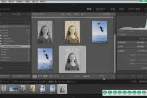 Lightroom 6基础入门全面技能培训视频教程
