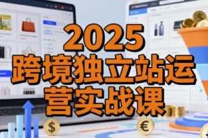2025跨境独立站运营实战课：建站、流量与转化全解析