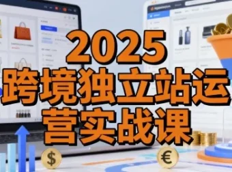2025跨境独立站运营实战课：建站、流量与转化全解析