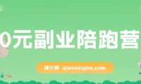 0元副业陪跑营：即梦、醒图、网盘、小说推文免费指导