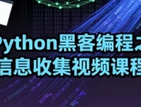 Python黑客编程：信息收集视频课程