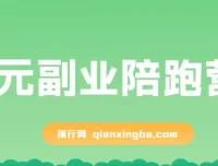 0元副业陪跑营：即梦、醒图、网盘、小说推文免费指导