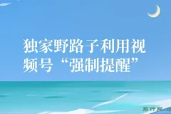 视频号引流创业粉野路子：无需剪发作品，单日轻松引流100+