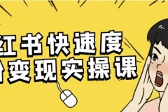 小红书快速涨粉变现实操课程
