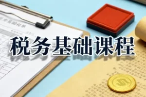 税务基础课程：增值税、企业所得税与个人所得税全解析